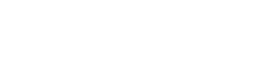 WePay wordmark in white